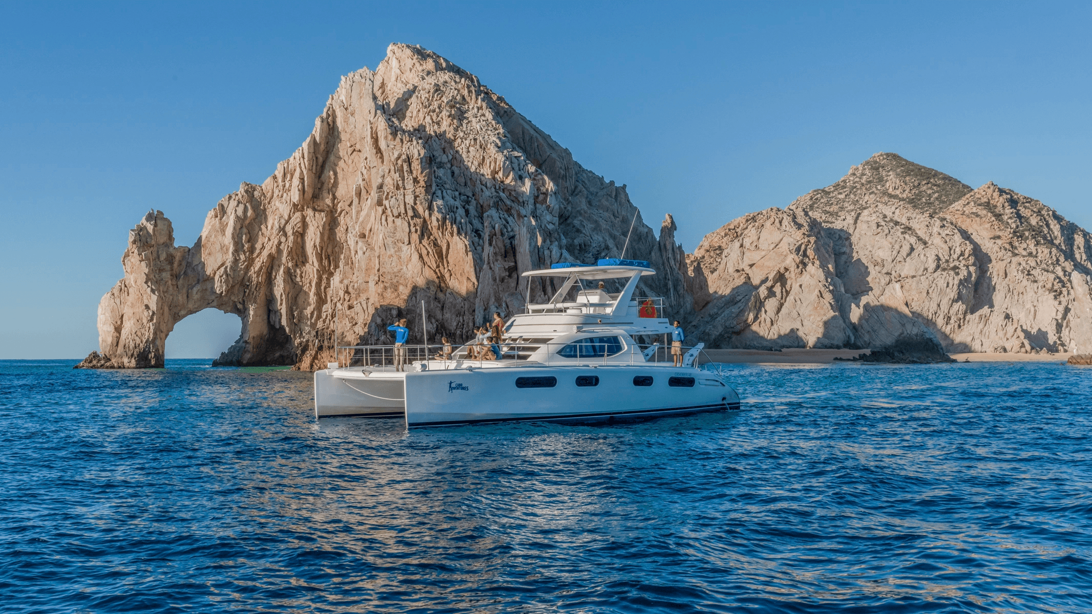 Luxury Whale Watching In Cabo gallery 2