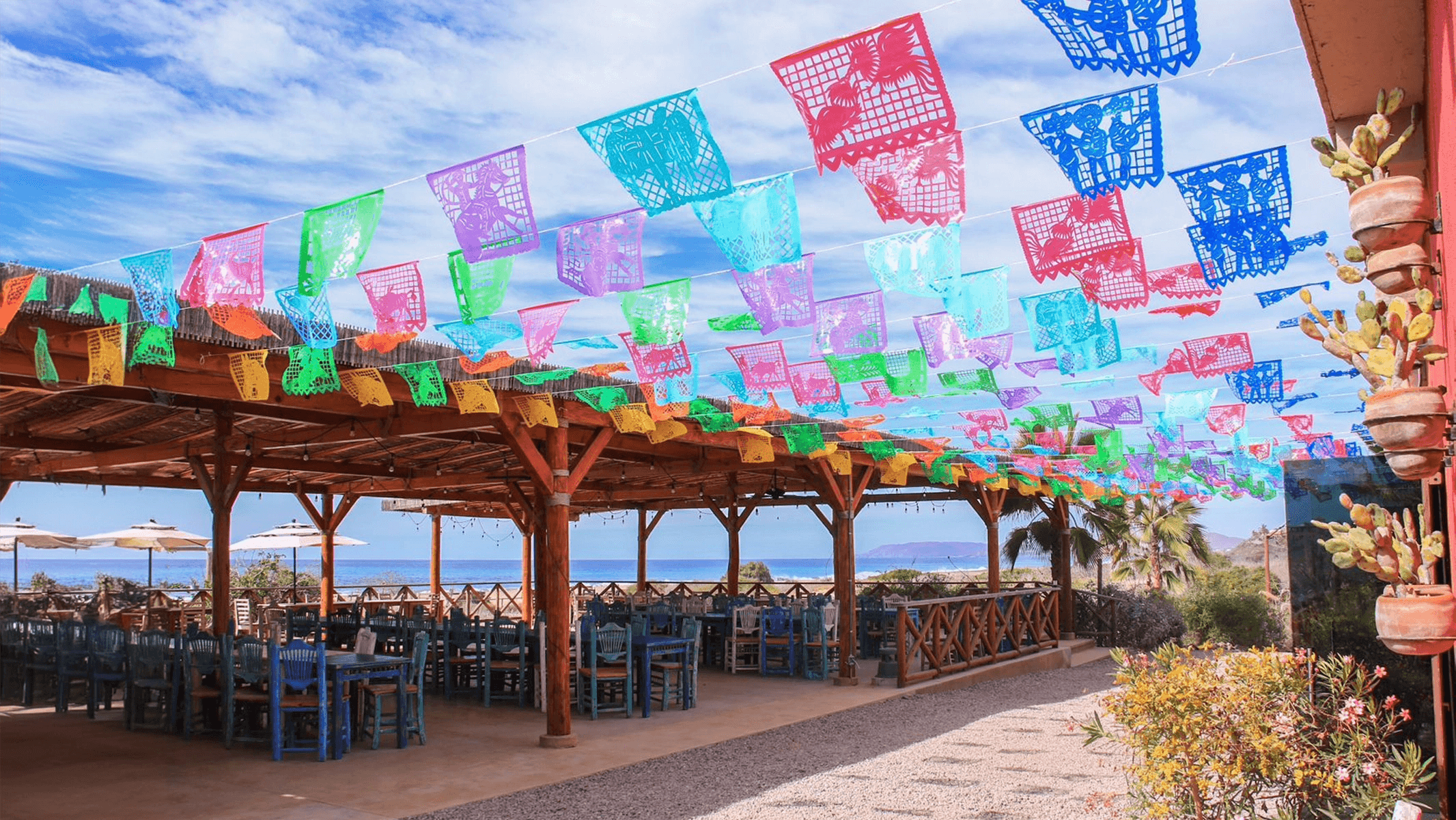Magical Todos Santos & Camels gallery 3