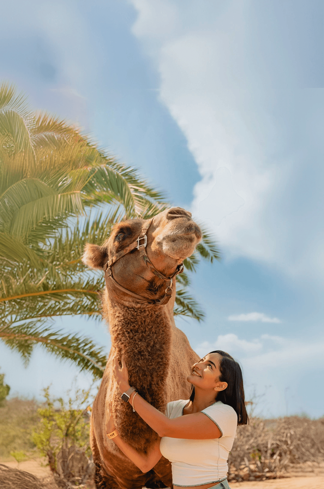 Outback Cabo Camel Ride gallery 3