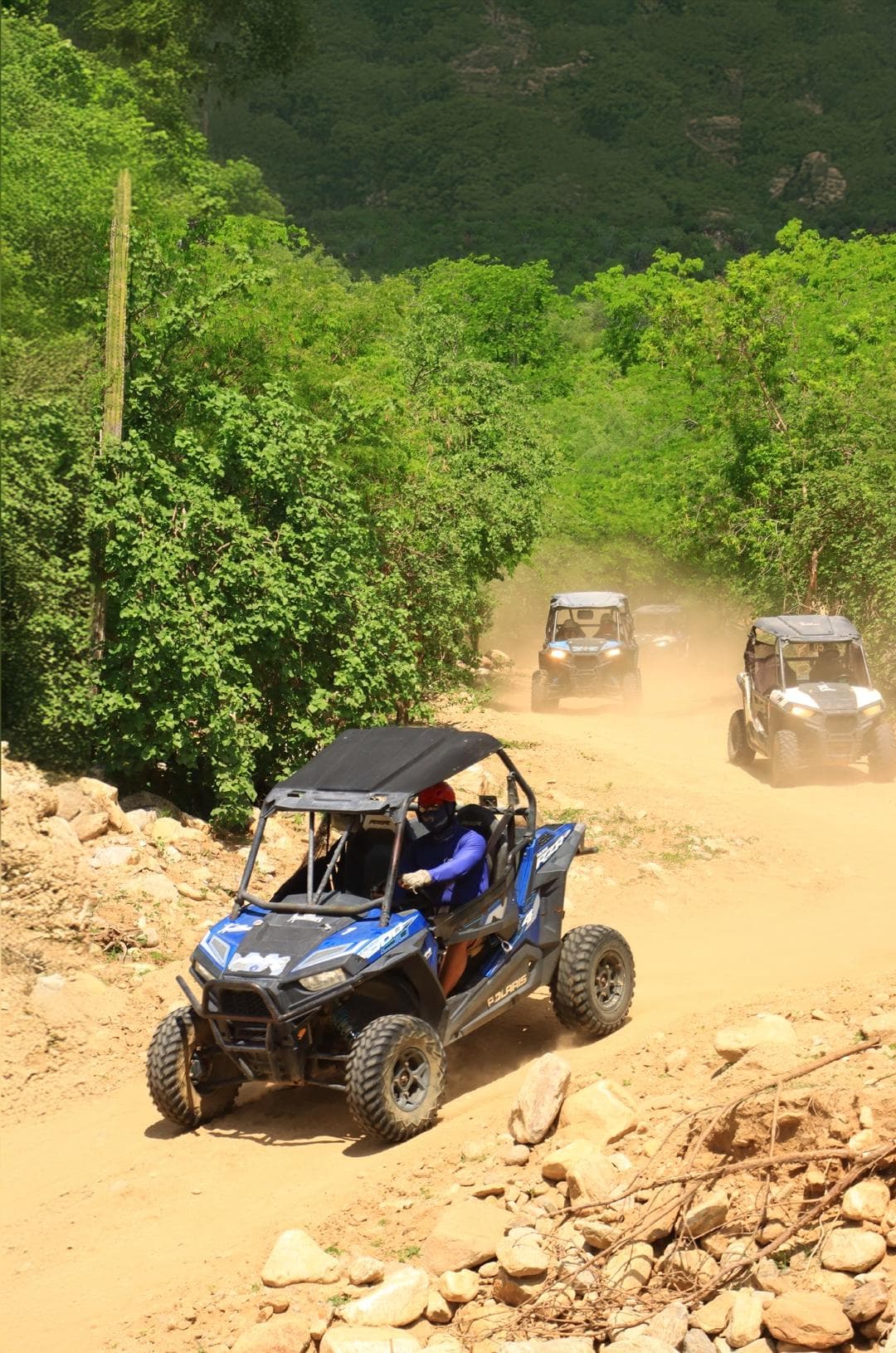 Outdoor Adventure 4x4 + Zipline + Rappel gallery 2